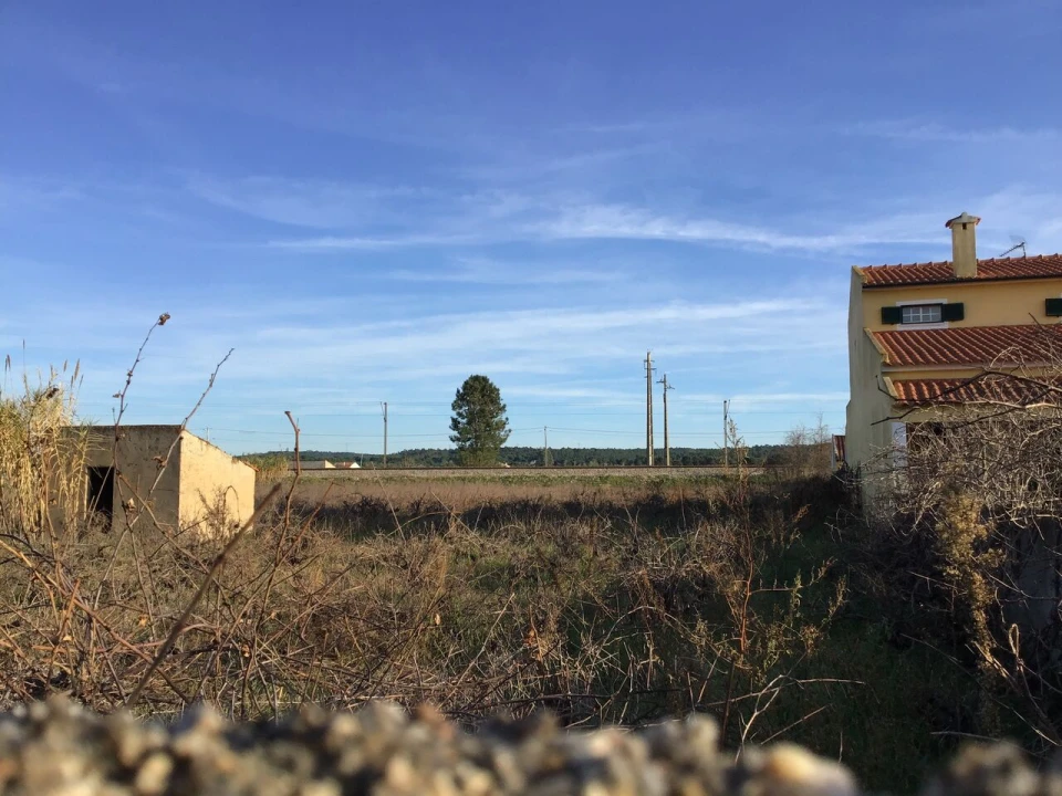 Terreno para Venda em São Miguel do Rio Torto e Rossio Ao Sul do Tejo Foto 3