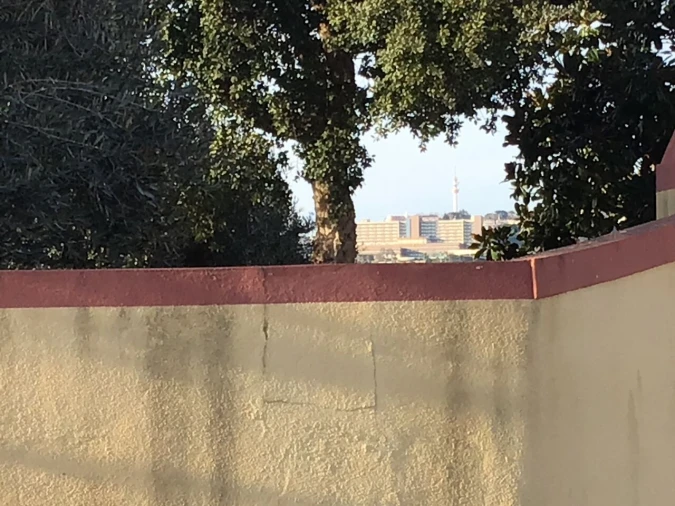 Terreno para Venda em São Miguel do Rio Torto e Rossio Ao Sul do Tejo Foto 7