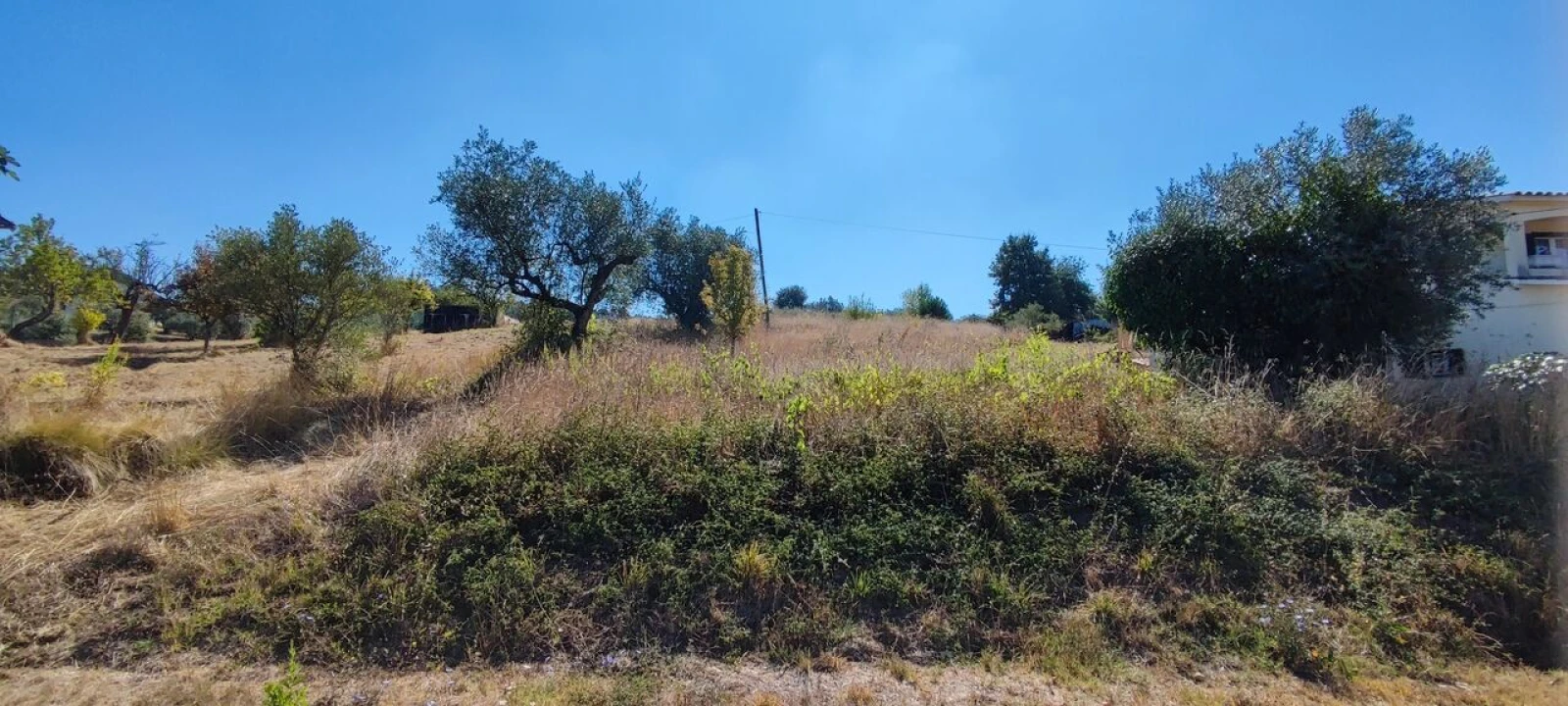 Terreno para Venda em Santiago e São Simão de Litém e Albergaria dos Doze Foto 4