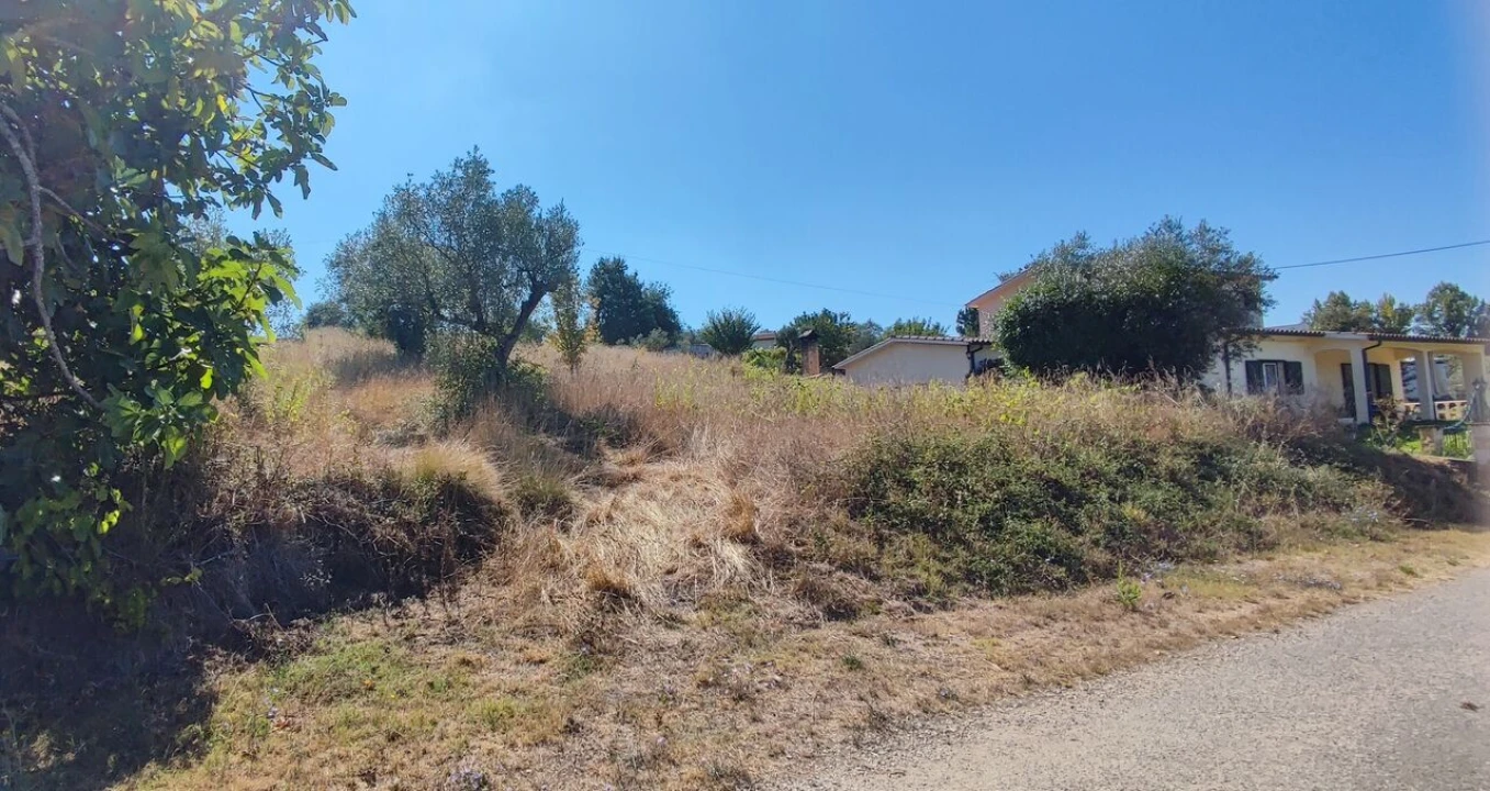 Terreno para Venda em Santiago e São Simão de Litém e Albergaria dos Doze Foto 3