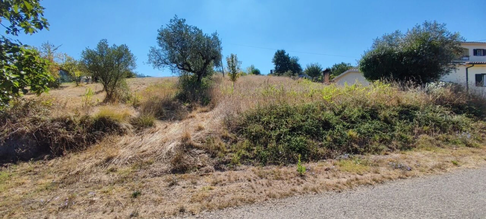 Terreno para Venda em Santiago e São Simão de Litém e Albergaria dos Doze Foto 2