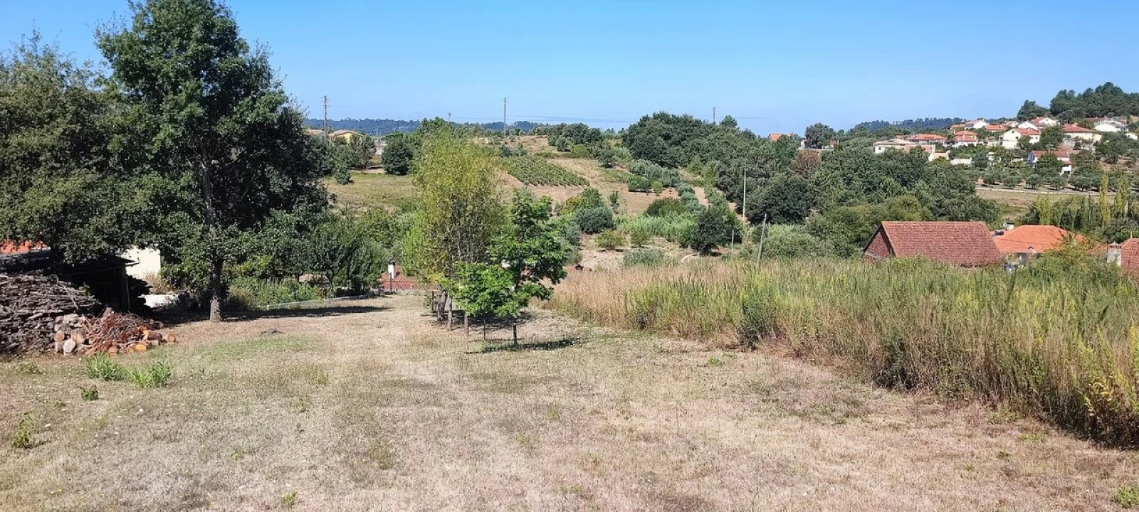 Terreno para Venda em Santiago e São Simão de Litém e Albergaria dos Doze Foto 10
