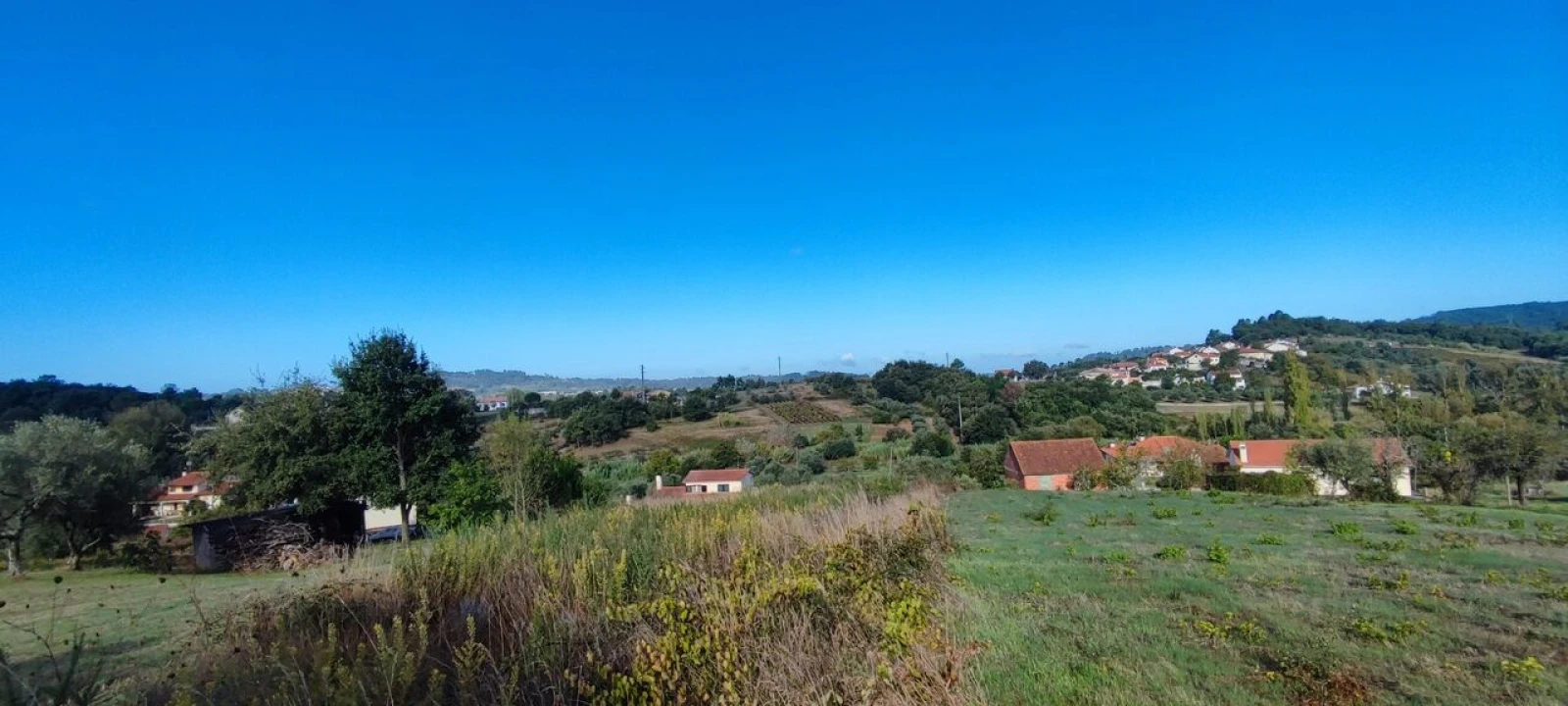 Terreno para Venda em Santiago e São Simão de Litém e Albergaria dos Doze Foto 11
