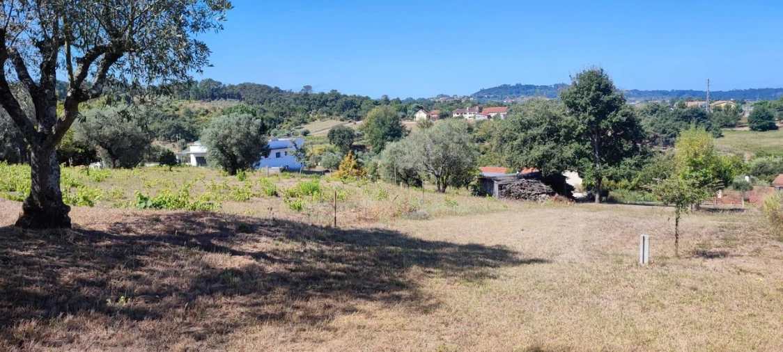 Terreno para Venda em Santiago e São Simão de Litém e Albergaria dos Doze Foto 5