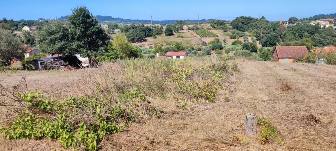 Terreno para Venda em Santiago e São Simão de Litém e Albergaria dos Doze Foto 6