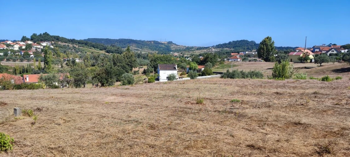 Terreno para Venda em Santiago e São Simão de Litém e Albergaria dos Doze Foto 8