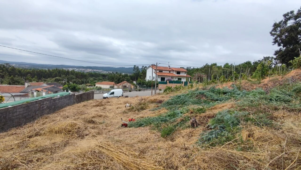 Terreno para Venda em Condeixa-A-Velha e Condeixa-A-Nova Foto 1