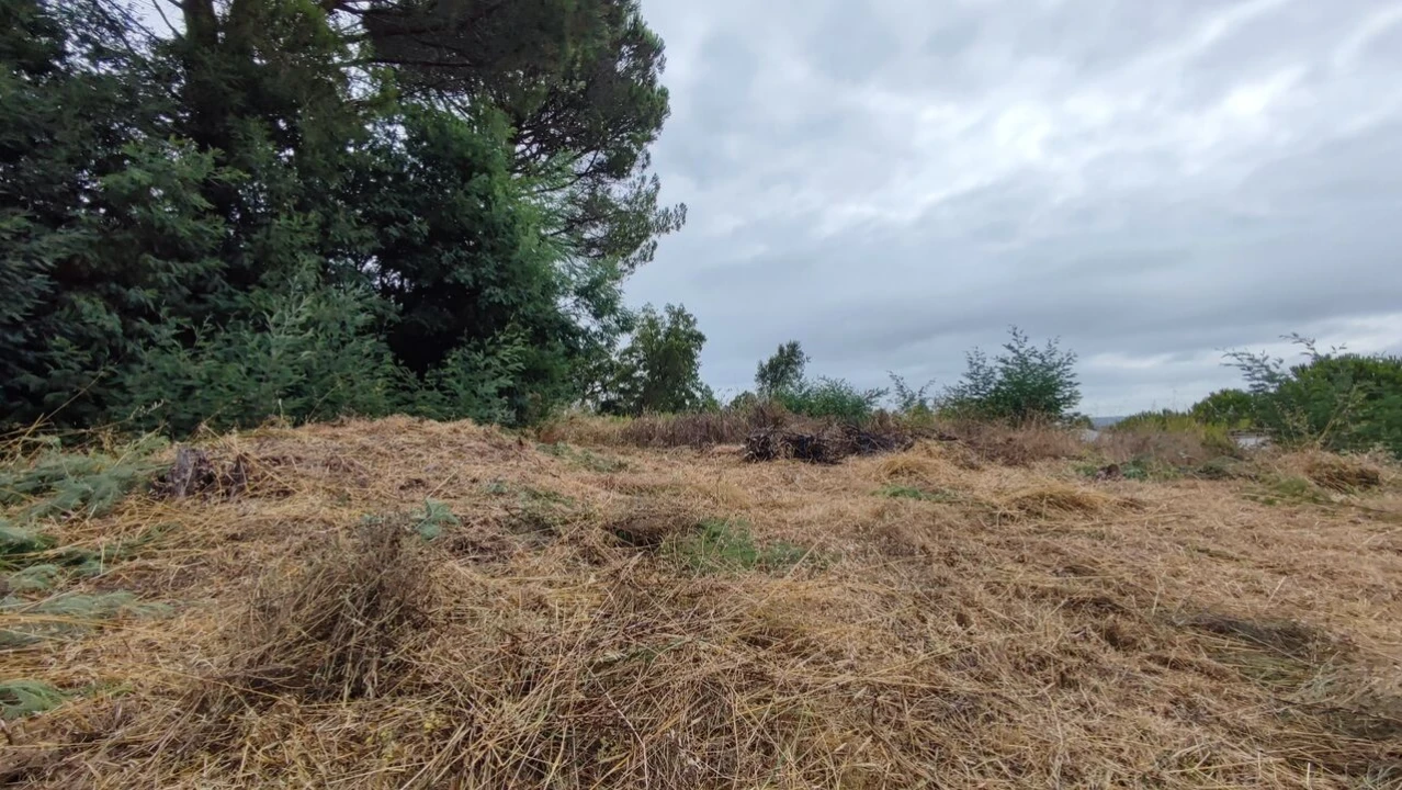 Terreno para Venda em Condeixa-A-Velha e Condeixa-A-Nova Foto 3
