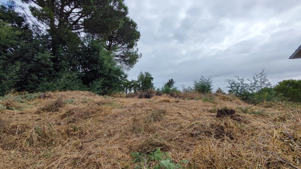 Terreno para Venda em Condeixa-A-Velha e Condeixa-A-Nova Foto 5
