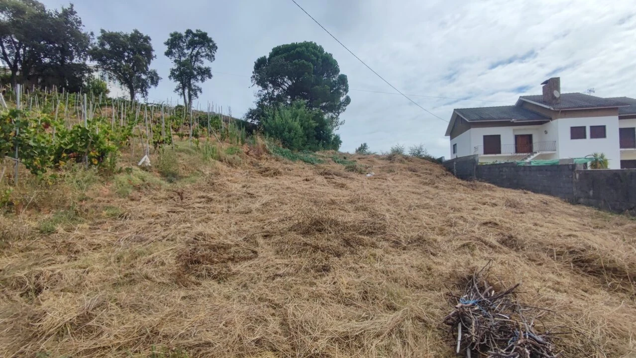 Terreno para Venda em Condeixa-A-Velha e Condeixa-A-Nova Foto 6