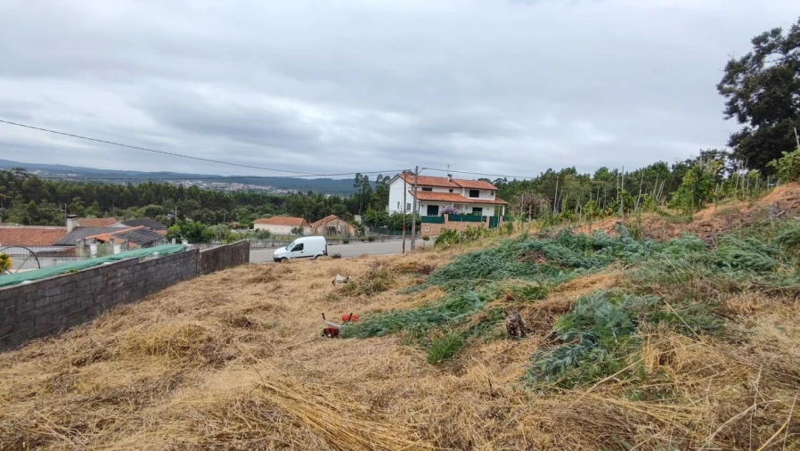 Terreno para Venda em Condeixa-A-Velha e Condeixa-A-Nova Foto 1