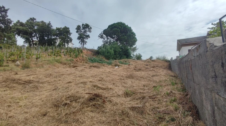 Terreno para Venda em Condeixa-A-Velha e Condeixa-A-Nova Foto 2