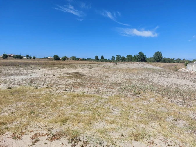 Terreno para Venda em Glória do Ribatejo e Granho Foto 2