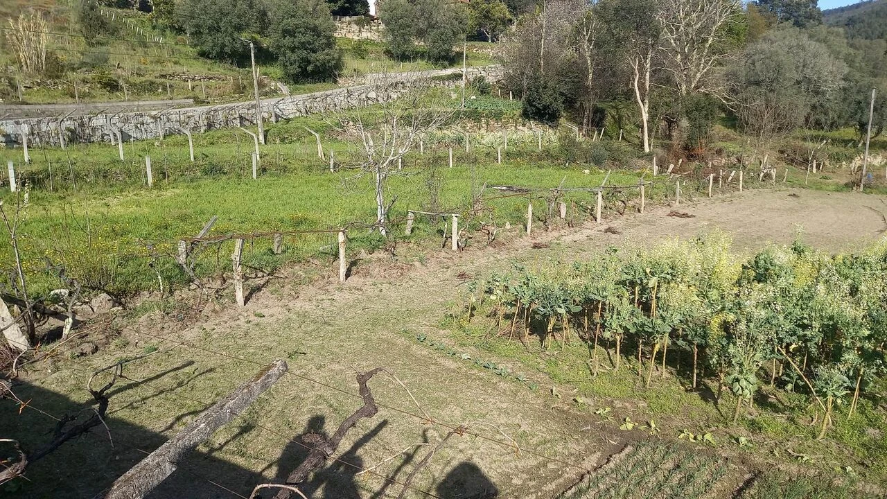 Terreno para Venda em Ceivães e Badim Foto 2