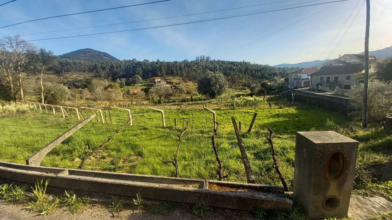 Terreno para Venda em Ceivães e Badim Foto 4