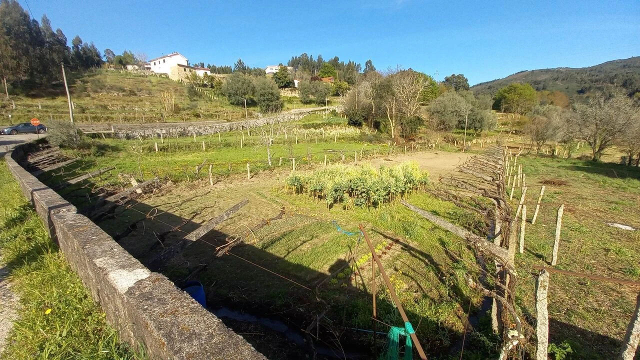 Terreno para Venda em Ceivães e Badim Foto 1