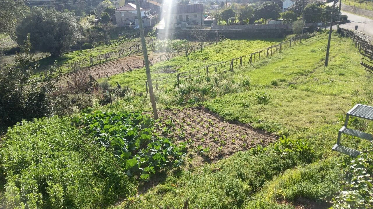 Terreno para Venda em Ceivães e Badim Foto 5