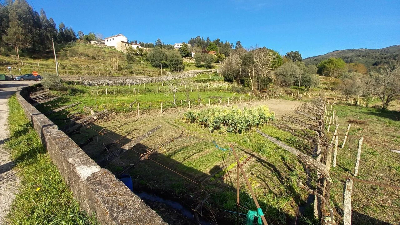 Terreno para Venda em Ceivães e Badim Foto 7