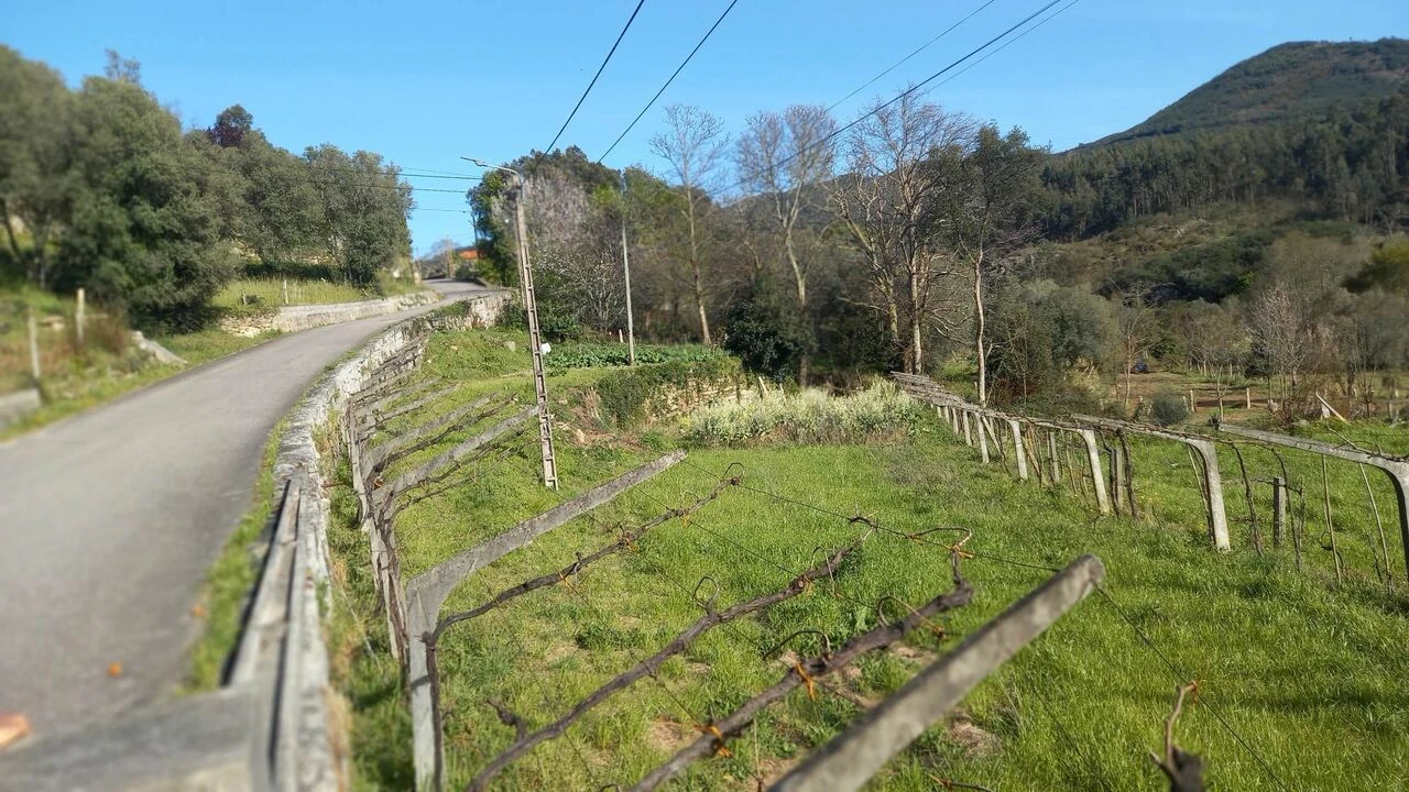 Terreno para Venda em Ceivães e Badim Foto 10