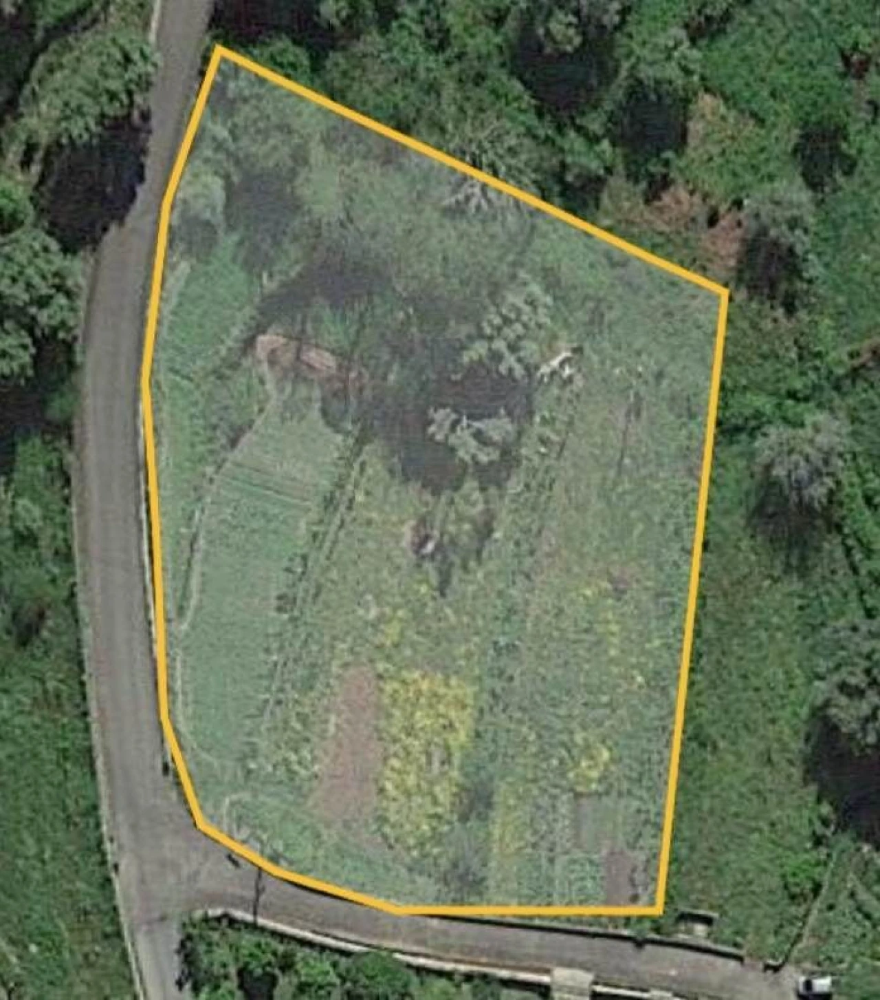 Terreno para Venda em Ceivães e Badim Foto 14