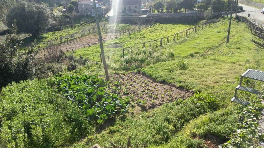 Terreno para Venda em Ceivães e Badim Foto 3
