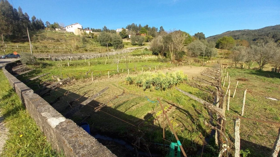 Terreno para Venda em Ceivães e Badim
