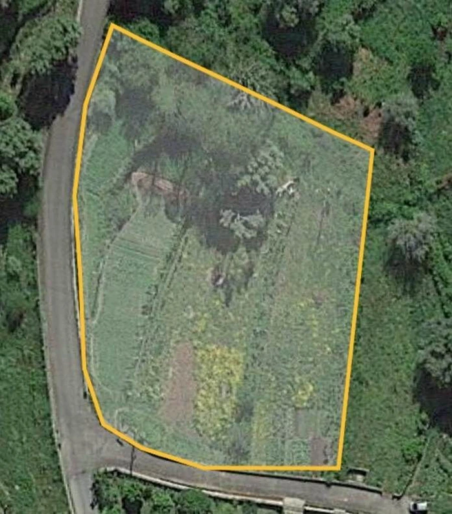 Terreno para Venda em Ceivães e Badim Foto 14