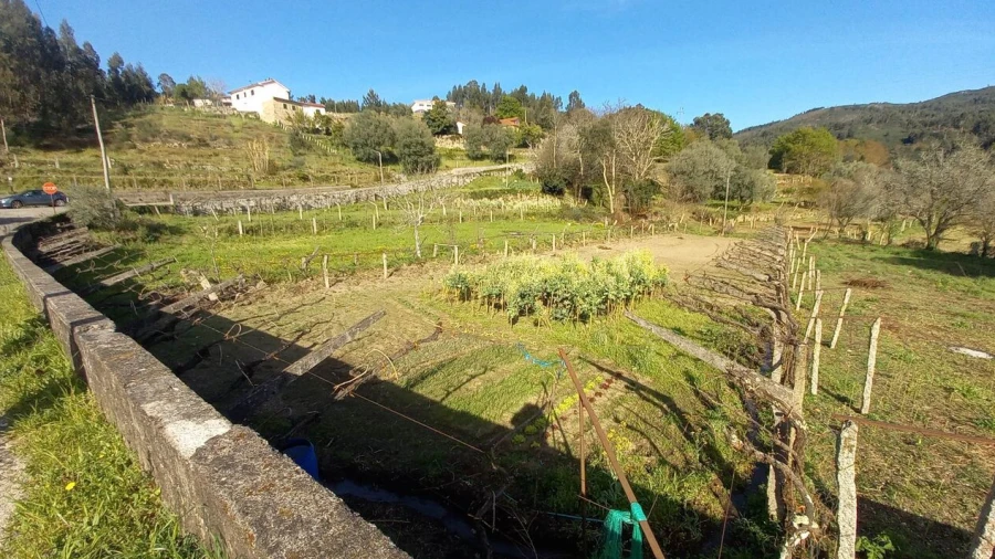 Terreno para Venda em Ceivães e Badim