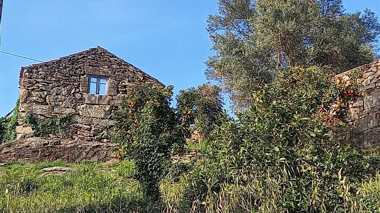 Moradia T0 para Venda em Ceivães e Badim Foto 1