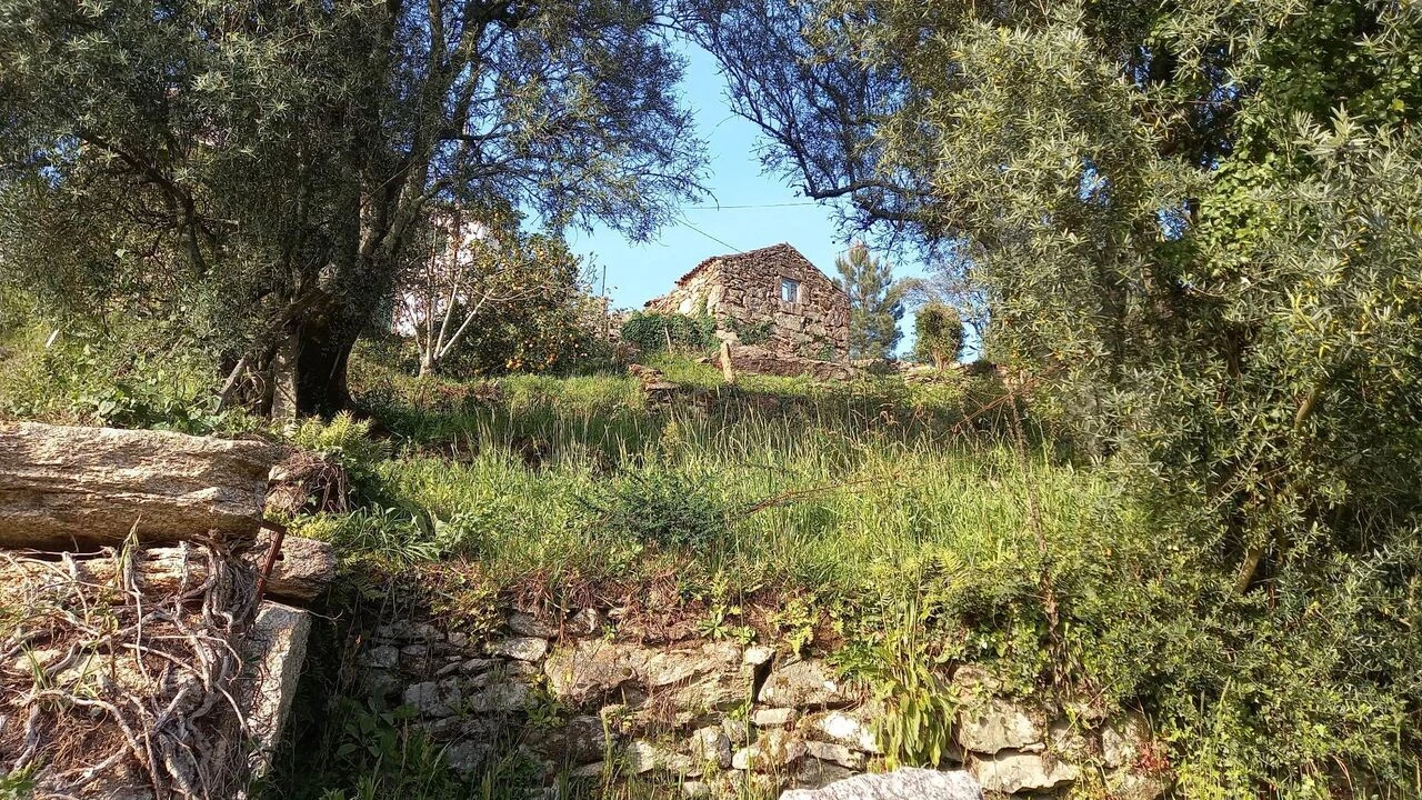 Moradia T0 para Venda em Ceivães e Badim Foto 8