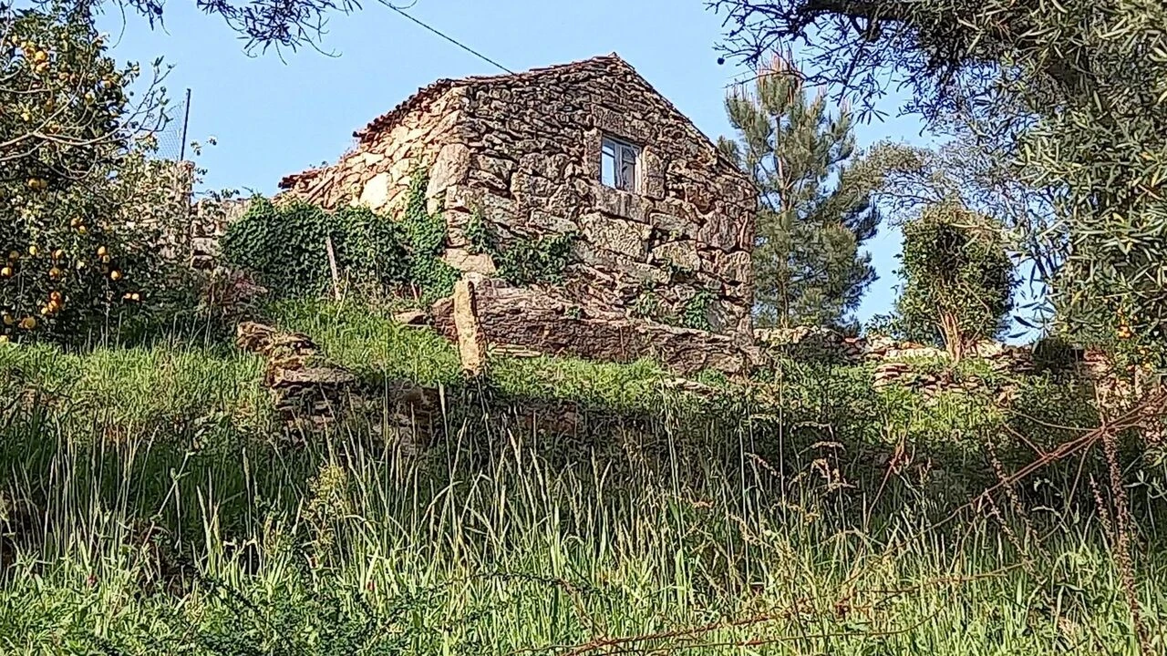 Moradia T0 para Venda em Ceivães e Badim Foto 11