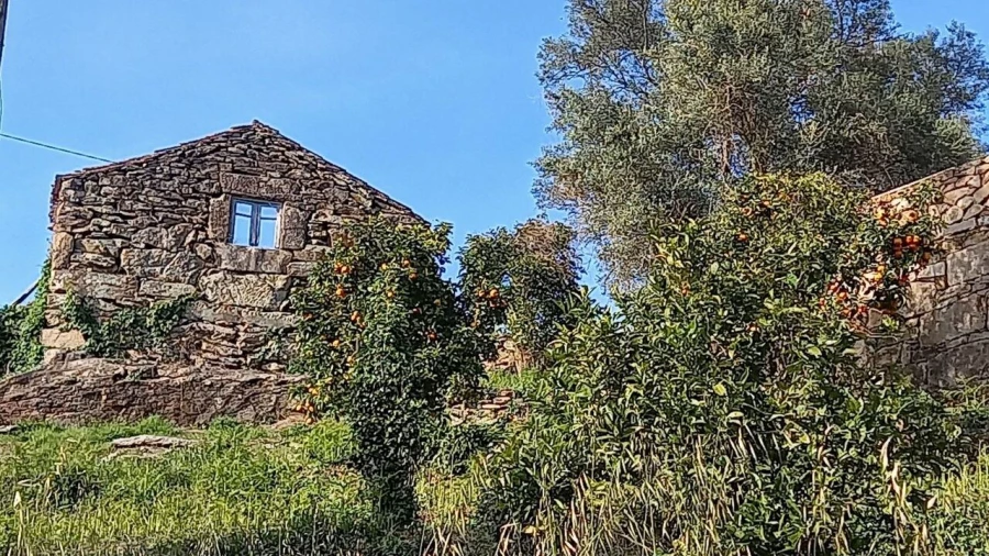 Moradia T0 para Venda em Ceivães e Badim