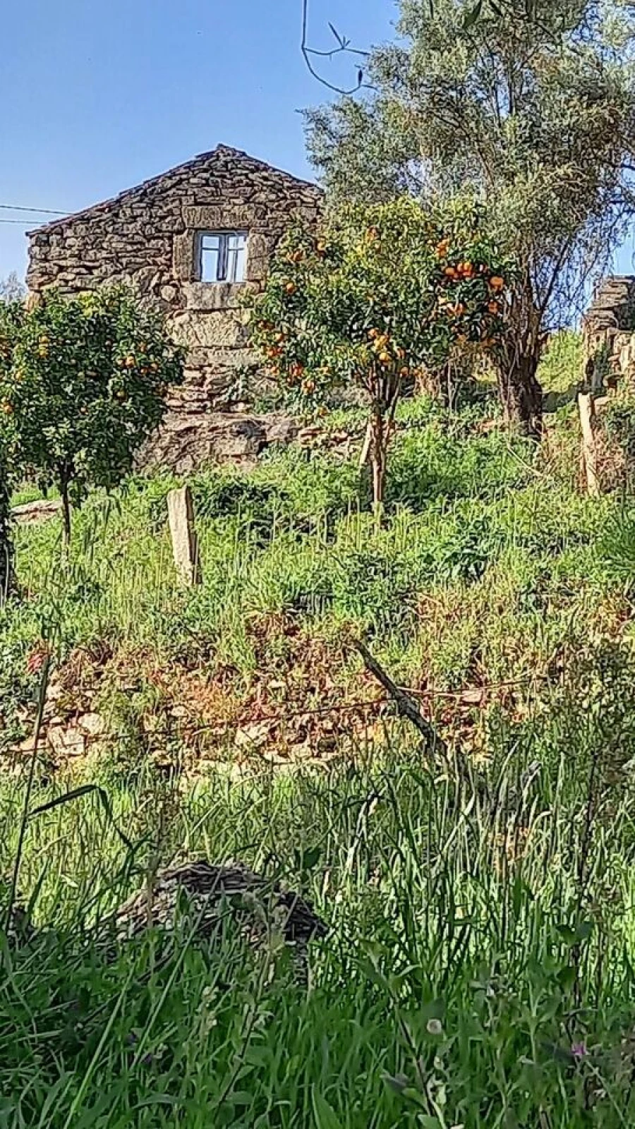 Moradia T0 para Venda em Ceivães e Badim Foto 3