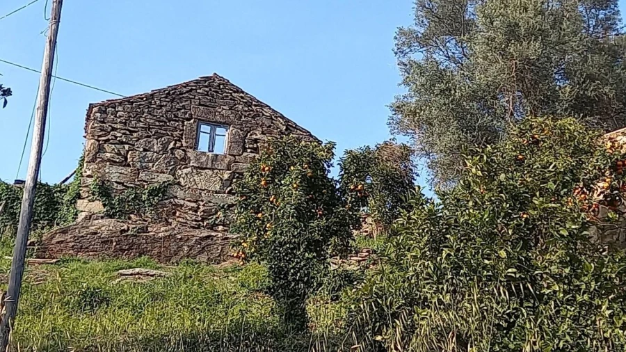 Moradia T0 para Venda em Ceivães e Badim Foto 5