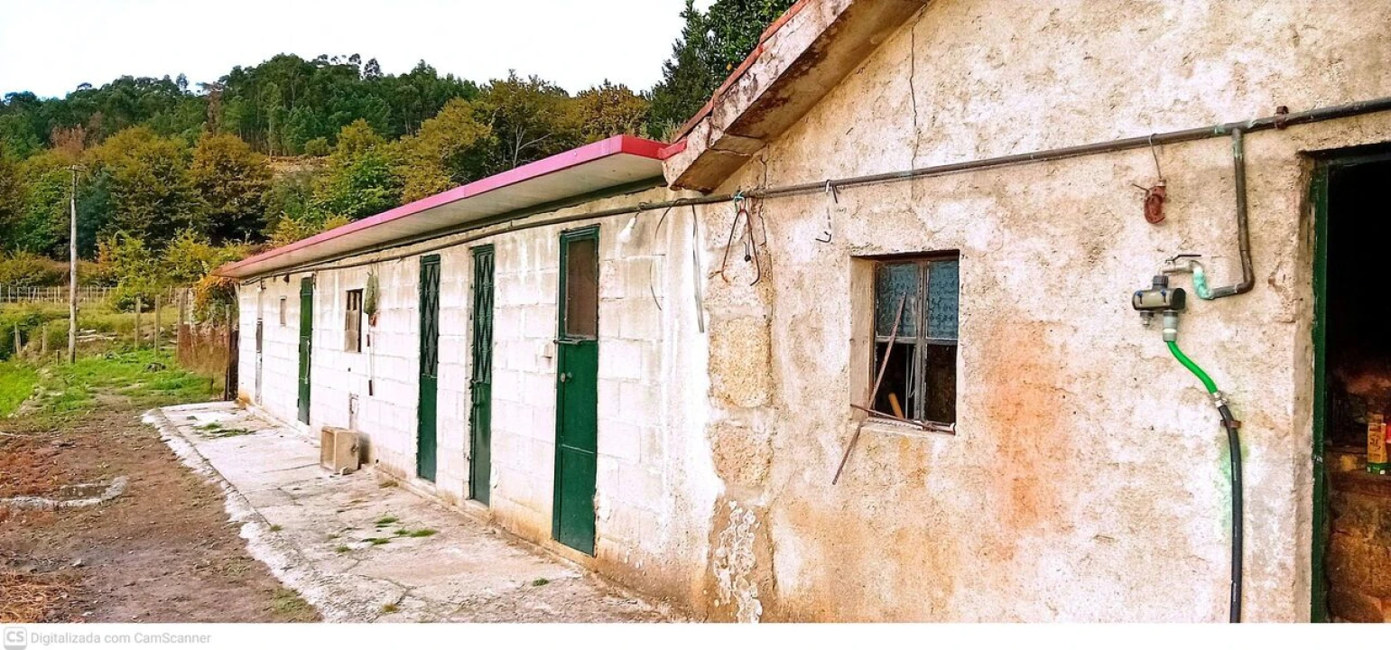 Quinta T3 para Venda em Vilela, São Cosme e São Damião e Sá Foto 4