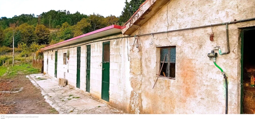 Quinta T3 para Venda em Vilela, São Cosme e São Damião e Sá Foto 4