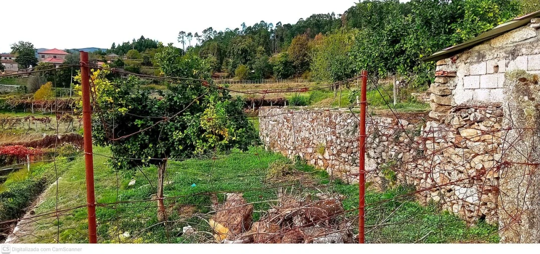 Quinta T3 para Venda em Vilela, São Cosme e São Damião e Sá Foto 5