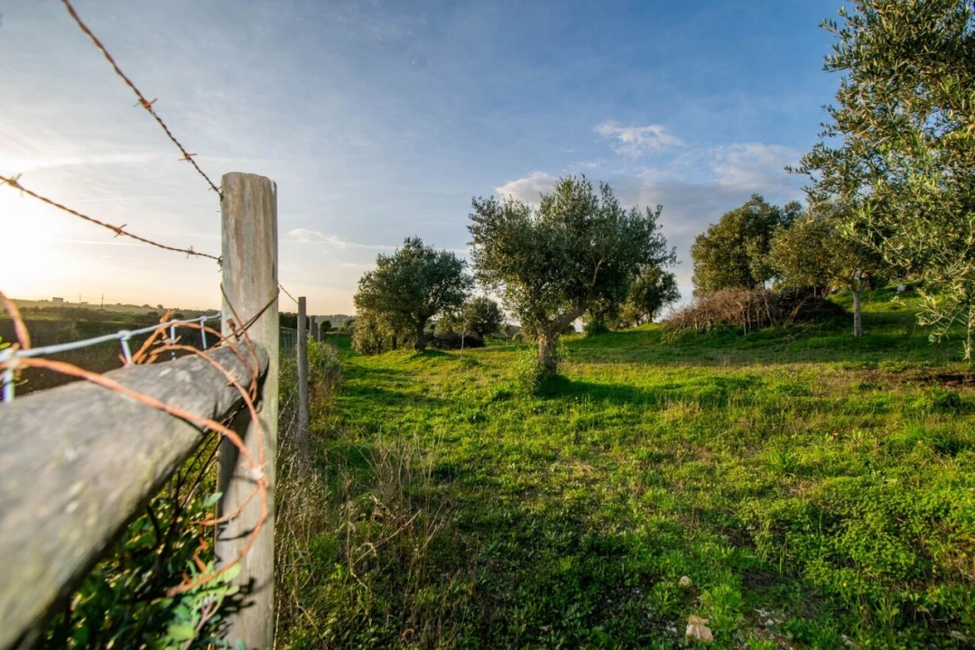 Quinta T3 para Venda em Casével e Vaqueiros Foto 37