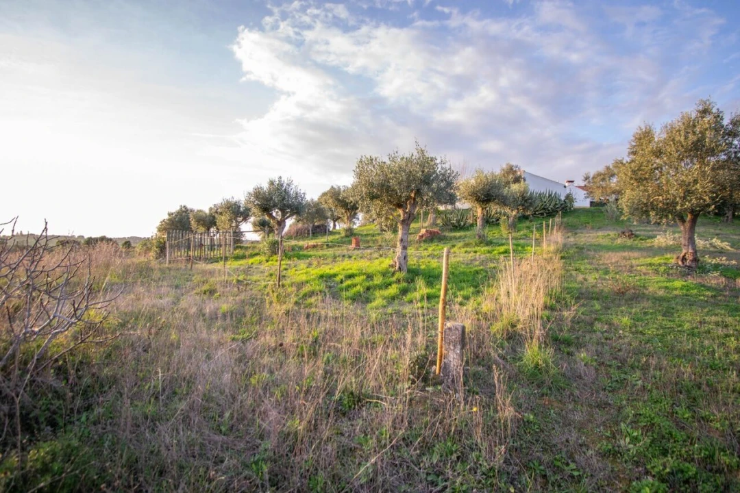Quinta T3 para Venda em Casével e Vaqueiros Foto 38
