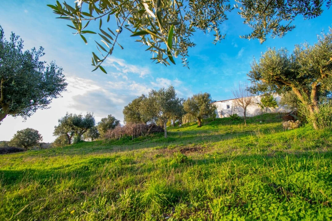 Quinta T3 para Venda em Casével e Vaqueiros Foto 36