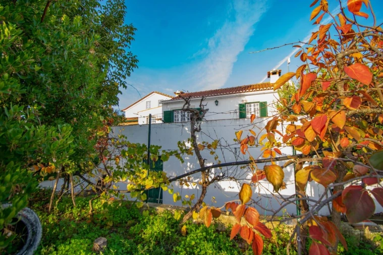 Quinta T3 para Venda em Casével e Vaqueiros Foto 2