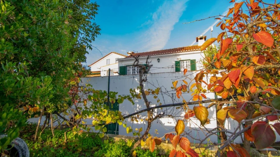 Quinta T3 para Venda em Casével e Vaqueiros