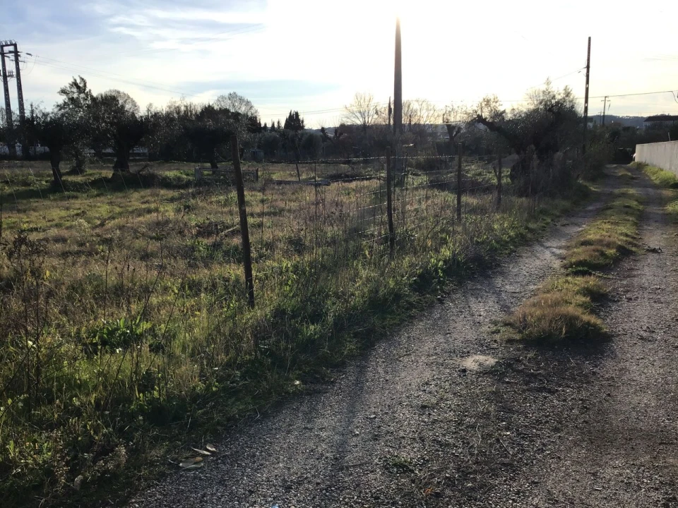 Terreno para Venda em São Miguel do Rio Torto e Rossio Ao Sul do Tejo Foto 4