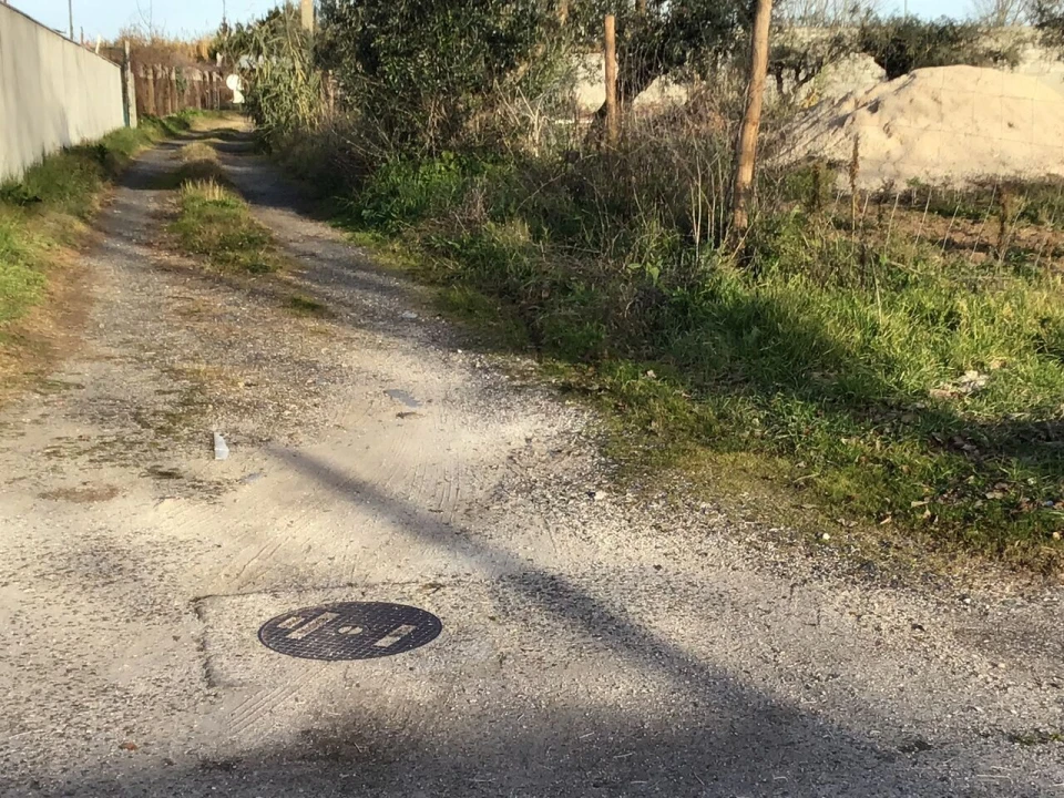Terreno para Venda em São Miguel do Rio Torto e Rossio Ao Sul do Tejo Foto 7