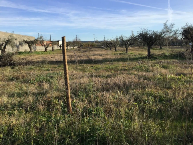 Terreno para Venda em São Miguel do Rio Torto e Rossio Ao Sul do Tejo Foto 1
