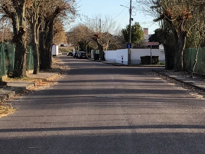 Terreno para Venda em São Miguel do Rio Torto e Rossio Ao Sul do Tejo Foto 5