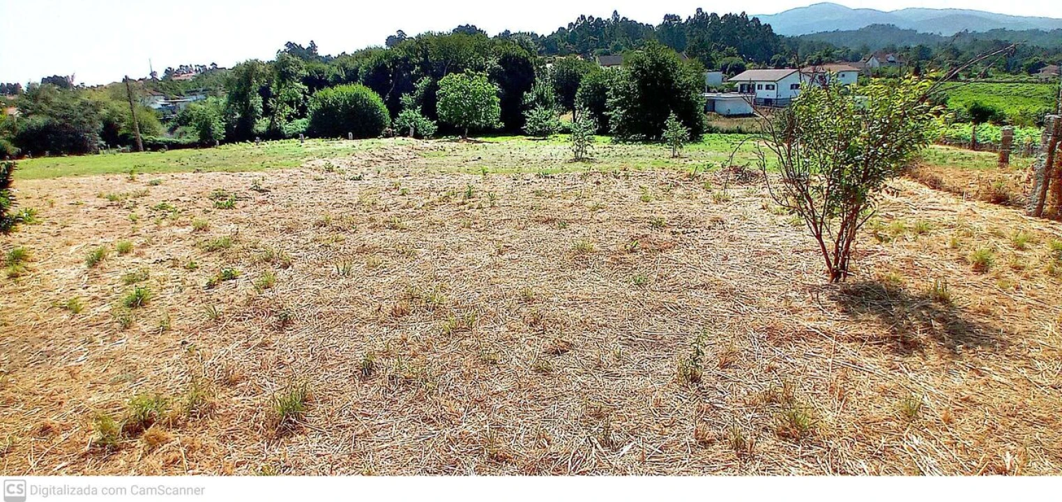 Terreno para Venda em Mazedo e Cortes Foto 2
