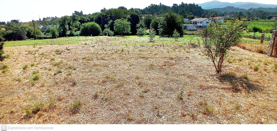 Terreno para Venda em Mazedo e Cortes Foto 2