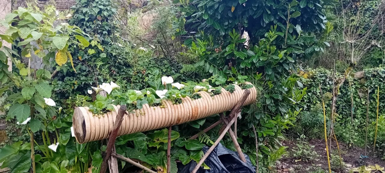 Moradia T1 para Venda em Anhões e Luzio Foto 3