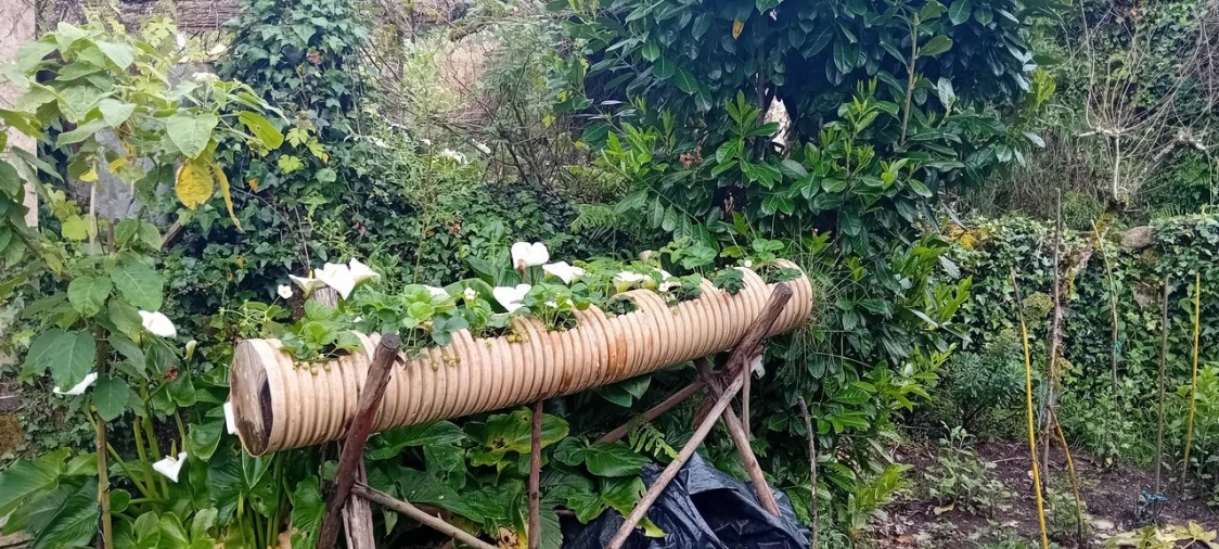 Moradia T1 para Venda em Anhões e Luzio Foto 3